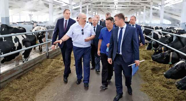 Александр Лукашенко во время посещения молочно-товарной фермы «Бортники» сельхозпредприятия «Ханчицы-Неман» в Свислочском районе Гродненской области.  25 июня 2021 года