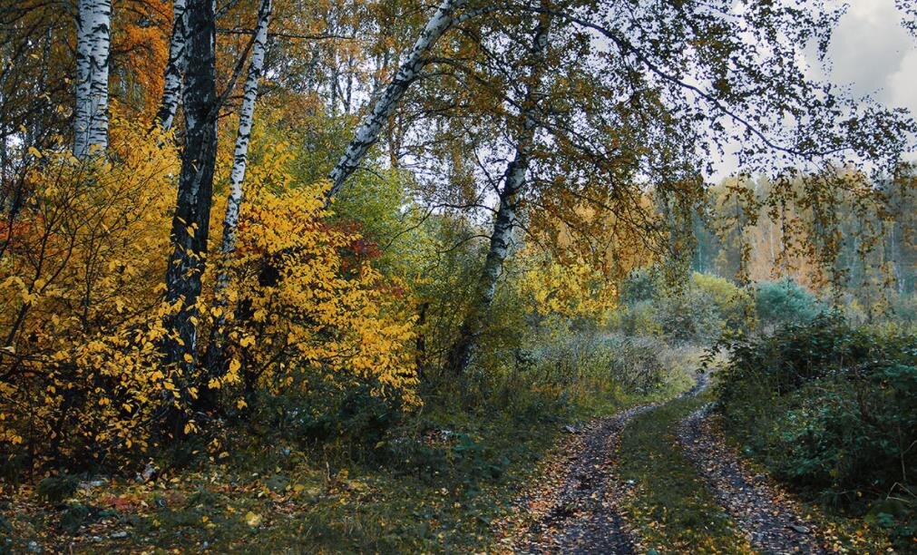 Фото — fotokto.ru