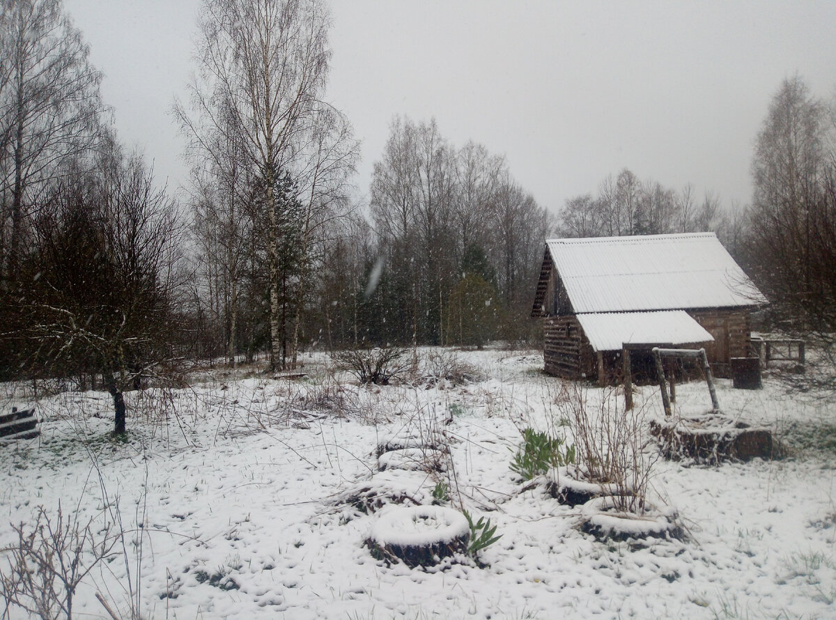 Как вам такая картина под окном. Постоянно изо дня в день?