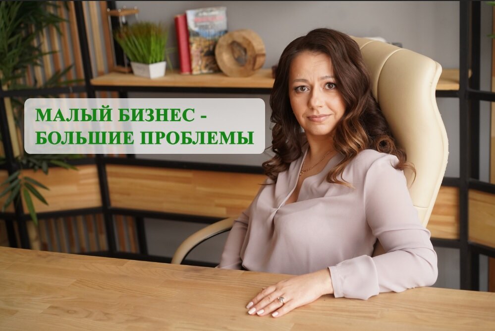 Маленький бизнес в большом городе. Михеева Оксана советник губернатора. Оксана Михеева Хакасия. Михеева Оксана консалтинг. Михеева Оксана Геннадьевна аспирантура.