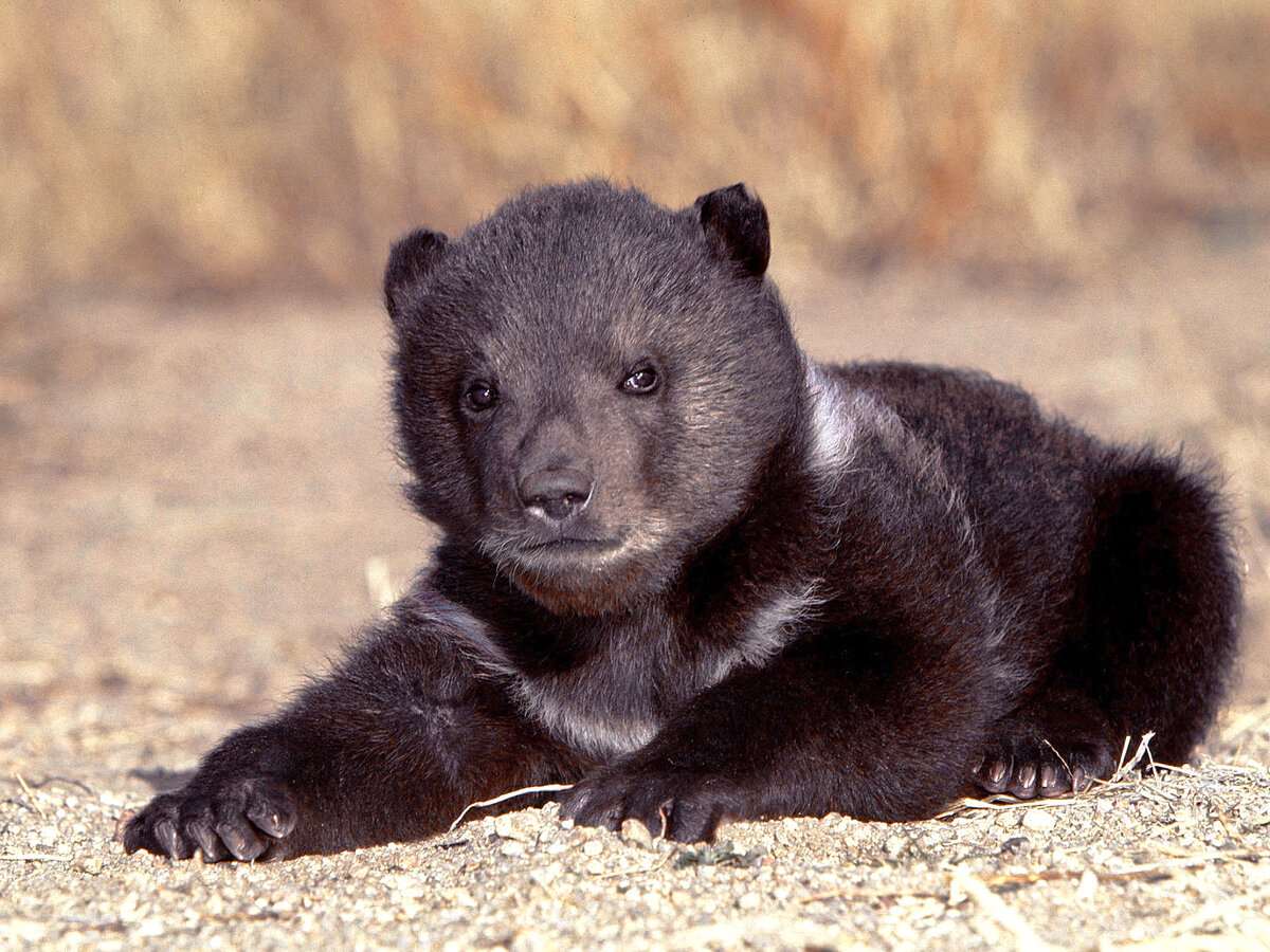 Я не такой простой как ты думаешь.