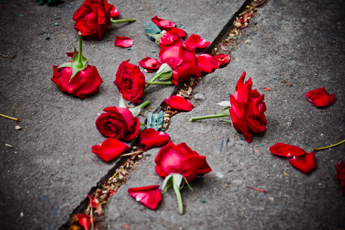 фото яндекс