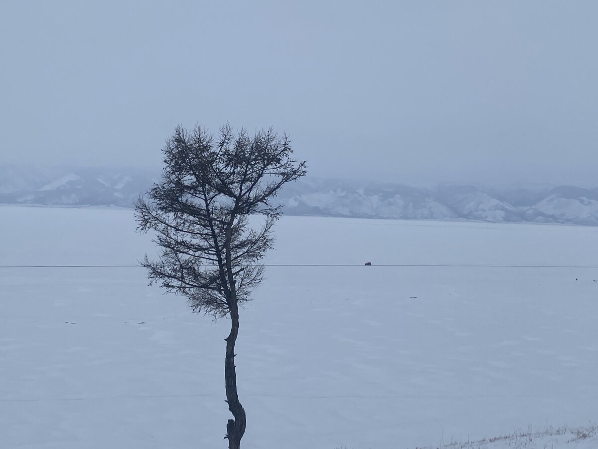 Замерзает ли японское море