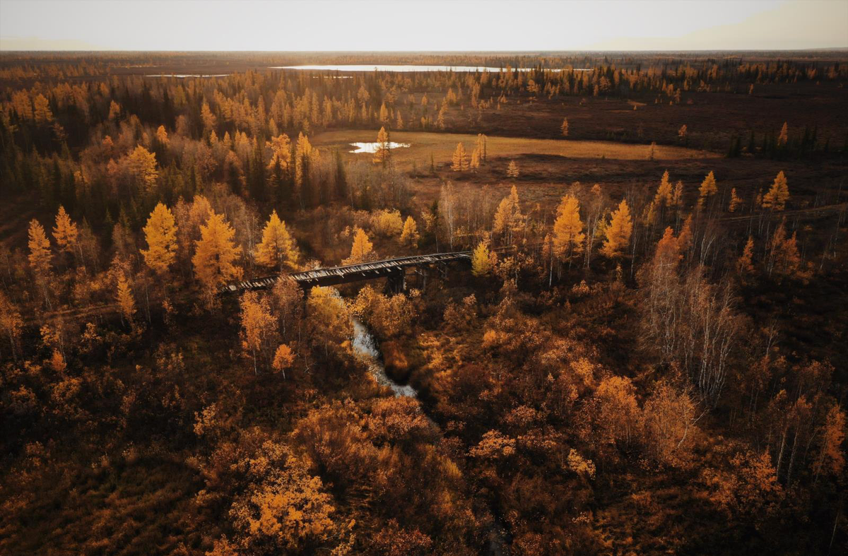 Трансполярная магистраль фото