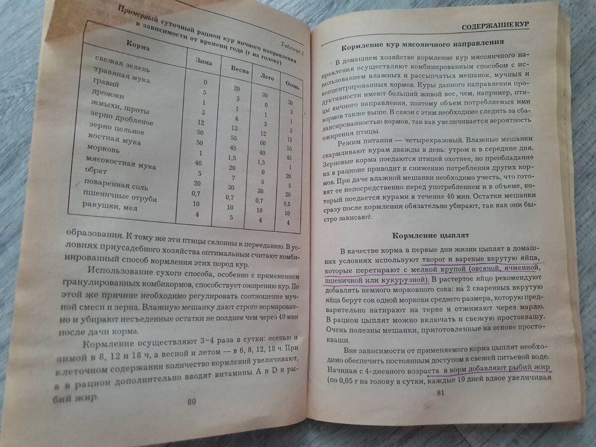 Простые корма для несушек и ваши куры будут нестись всегда. Проверенные  рецепты | Вдали от города (огород + подсобное хозяйство) | Дзен