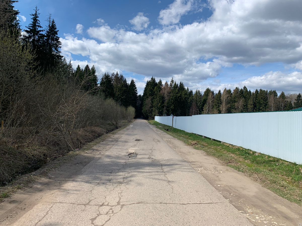 Дорога до озера через лес 