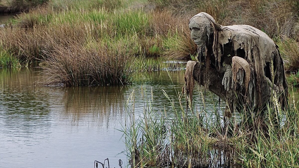 Яндекс Картинки 