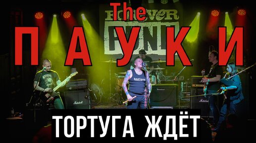 THE ПАУКИ - ТОРТУГА ЖДЁТ (LIVE) | PUNK FEST | CLUB MOD