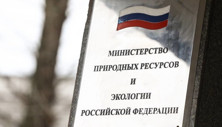 Фото: из открытых источников