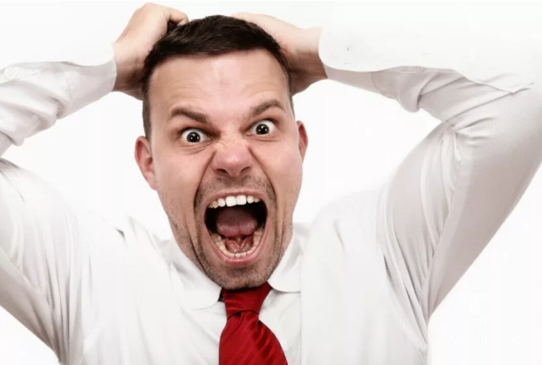 Фото. Яндекс