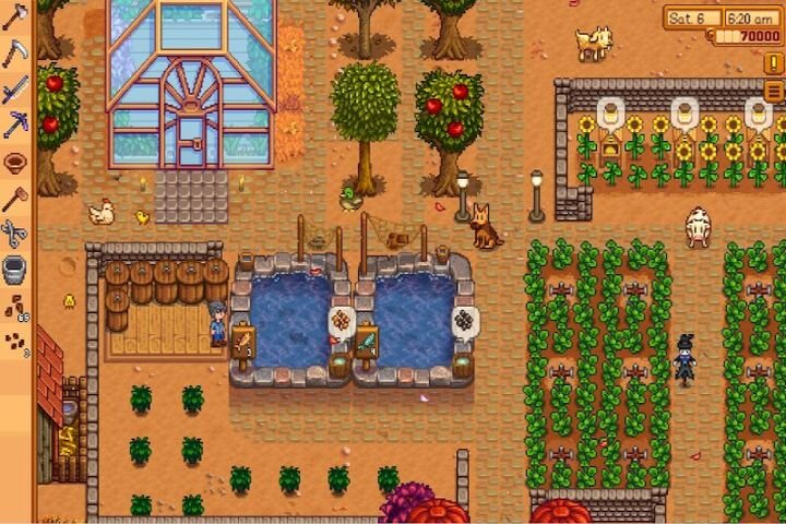 Stardew Valley