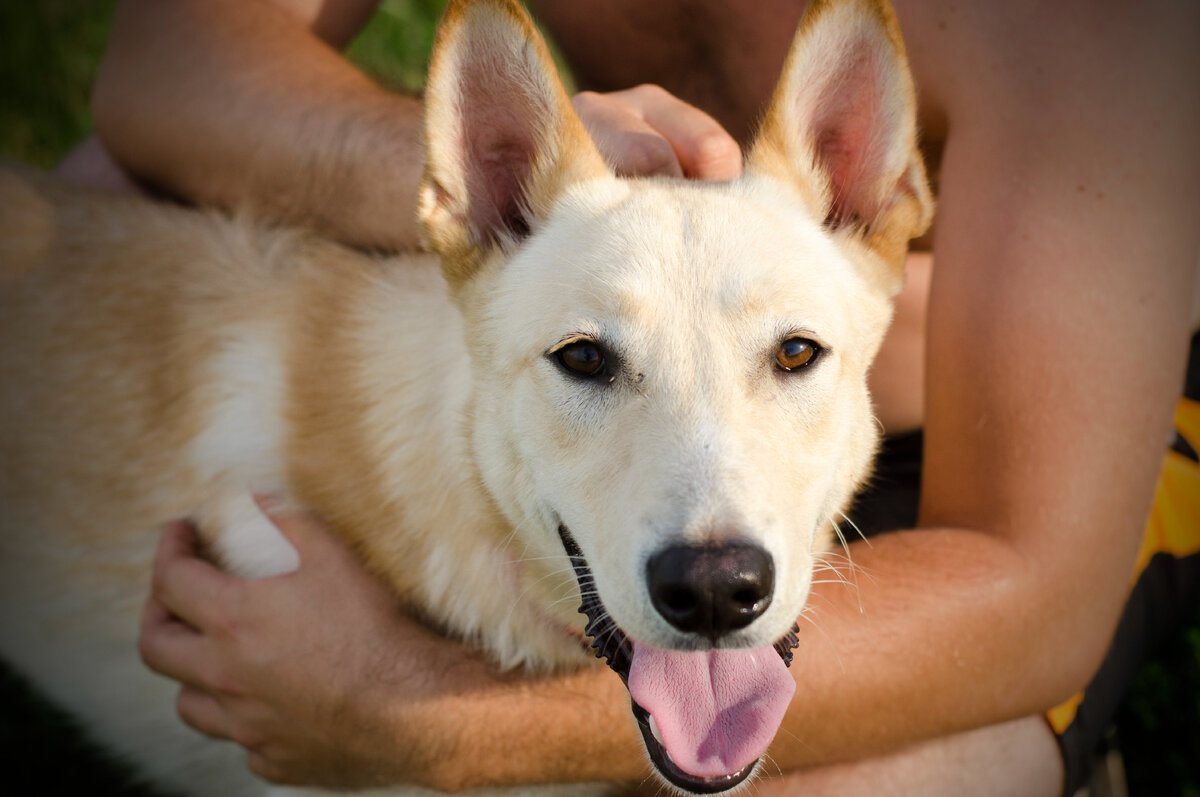 Ну разве не чудо?