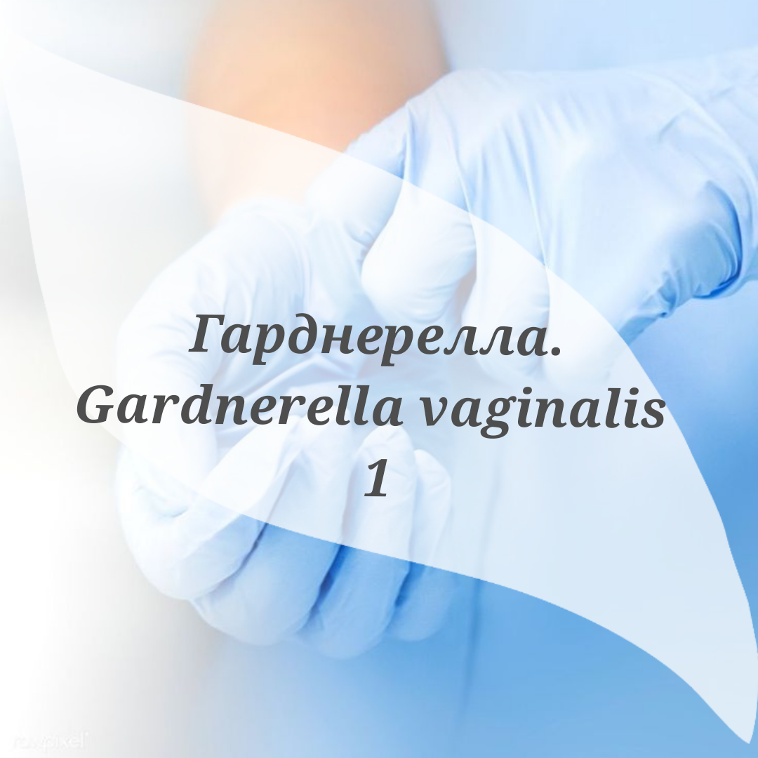 Gardnerella vaginalis Gardnerella vaginalis