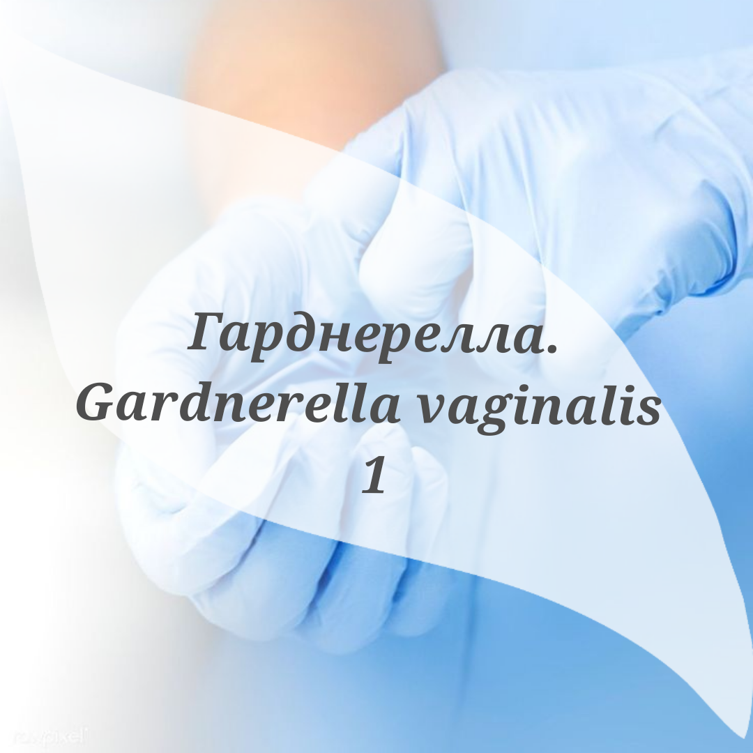 Gardnerella vaginalis