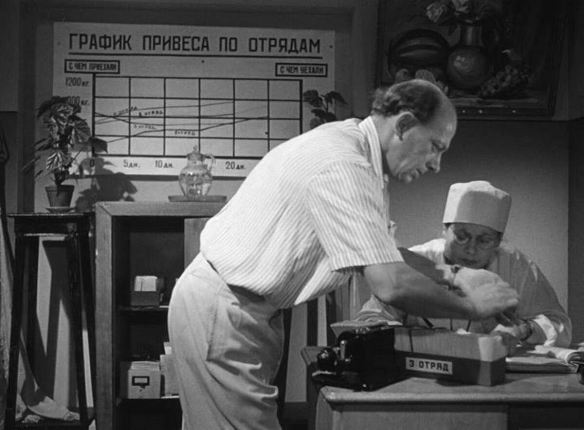 Фотография взята из общей сети Интернет.