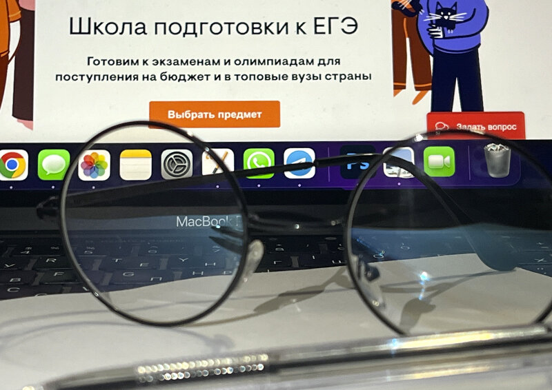   Каждый четвёртый стобалльник России – выпускник одной онлайн-школы