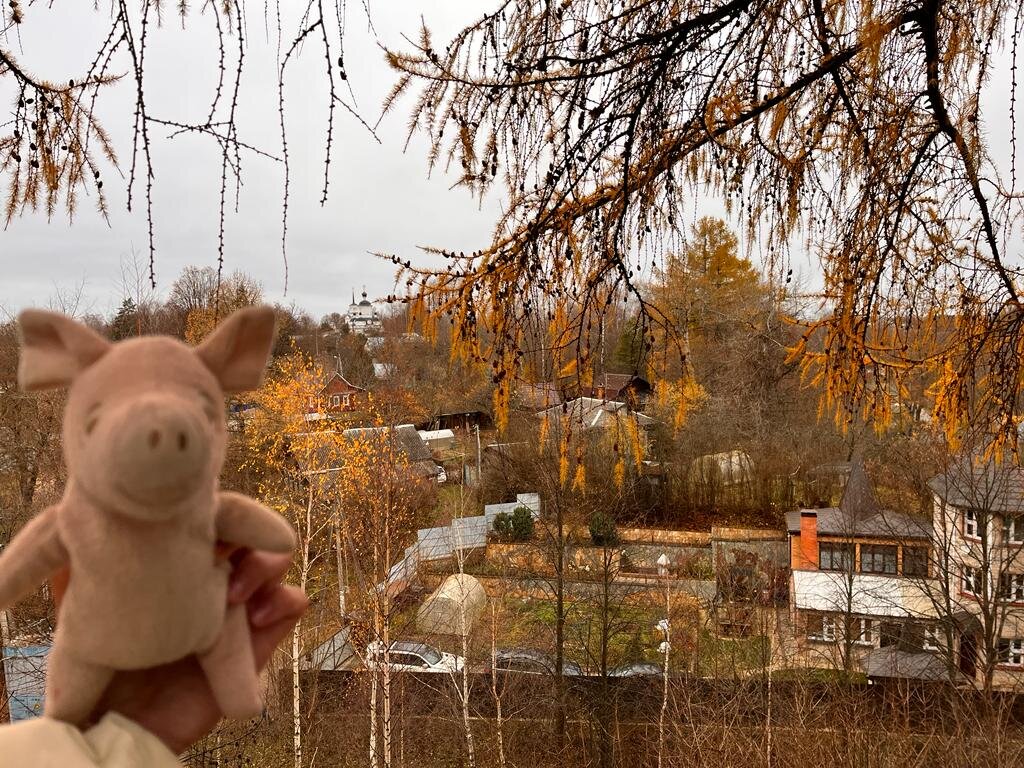 Привет из Рузы, друзья!