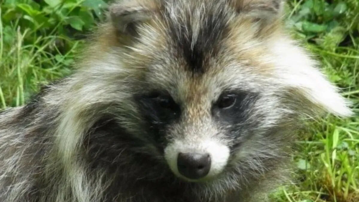 Фото: pixabay.com