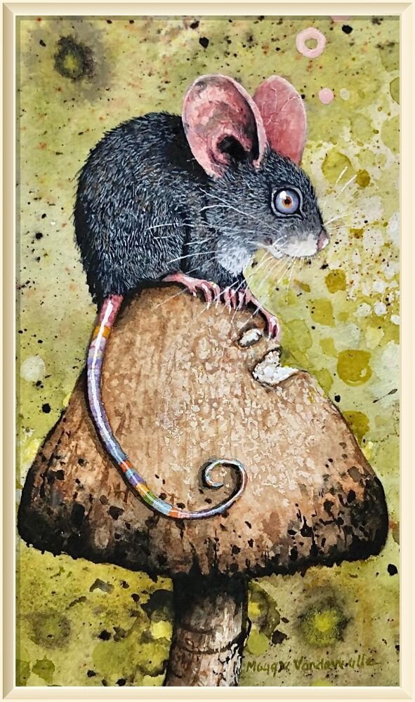 ©️ Мэгги Вандевалле / Maggie Vandewalle A teeny one./ Совсем крошечный