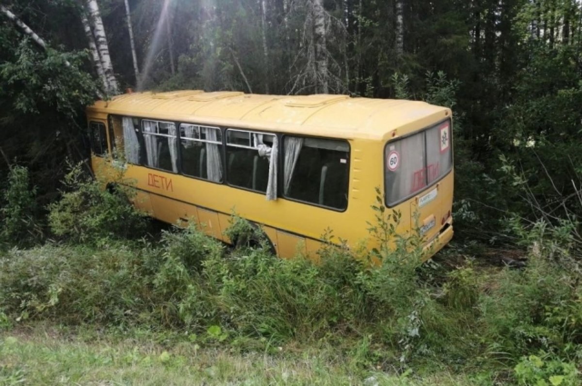 Появились подробности ДТП с 15 пострадавшими детьми в автобусе в Прикамье |  АиФ–Пермь | Дзен