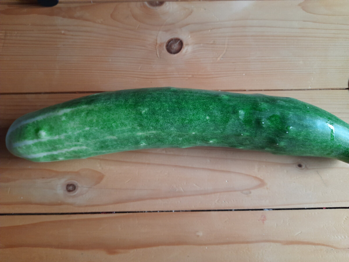 Прятался до последнего