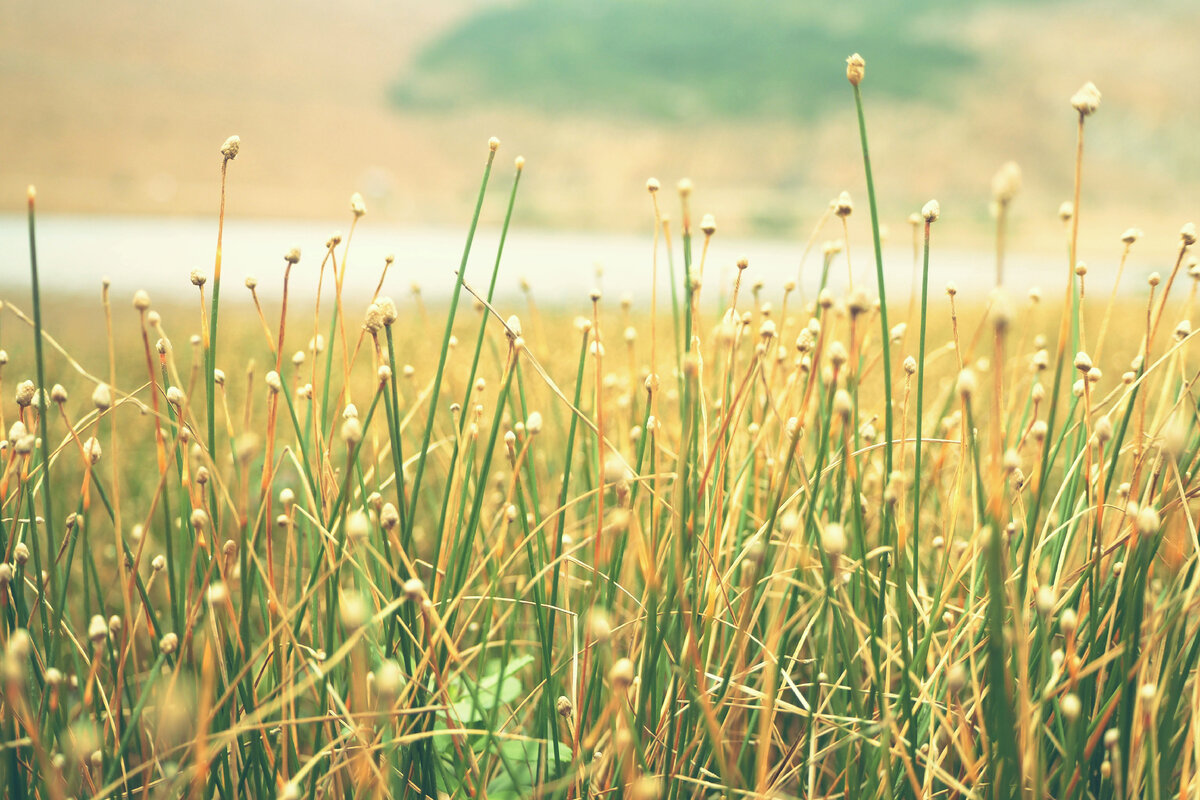 Картинка с бесплатного фотостока https://unsplash.com, автор l0pages Wong