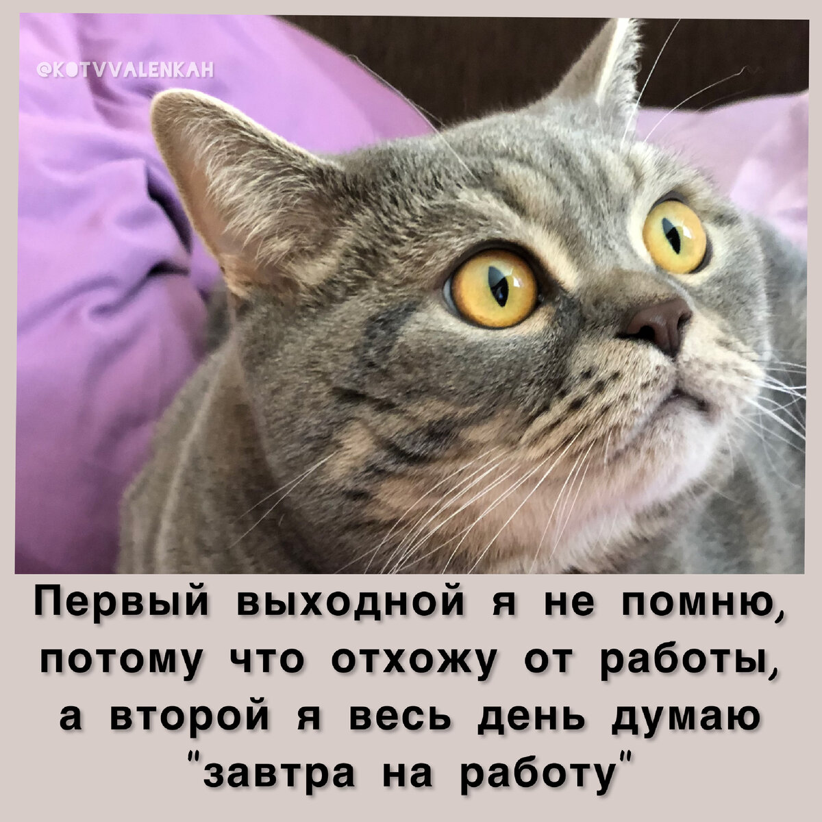 Мемы про первую субботу года Пин от пользователя Anna Nagornay на доске Supernatural Мемы, Сверхъестественное