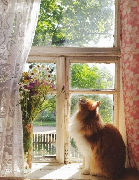 СКУЧАЕТ У ОКНА ОДНА КРАСОТКА.