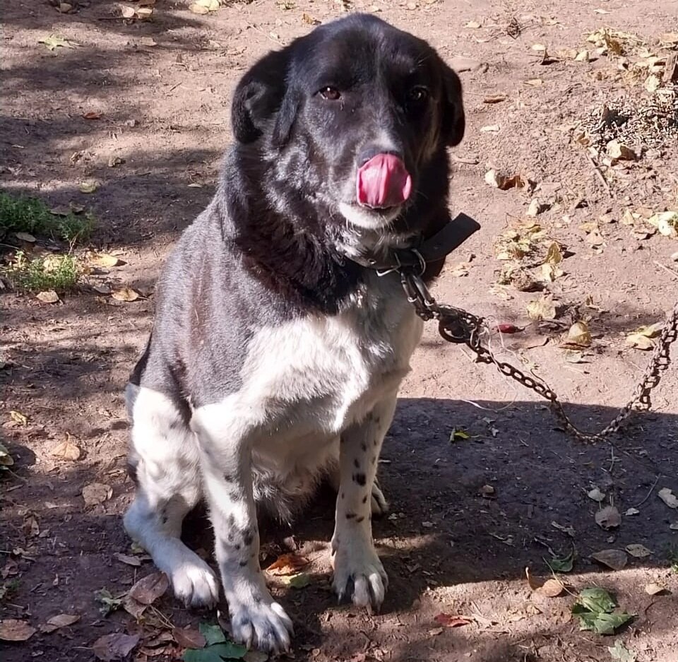 Вот так он ждет свою семью...