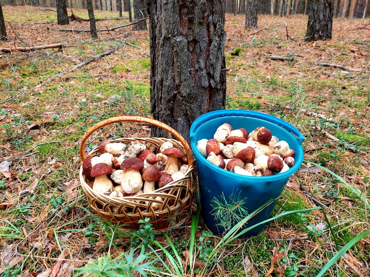 Листайте, тут их много!