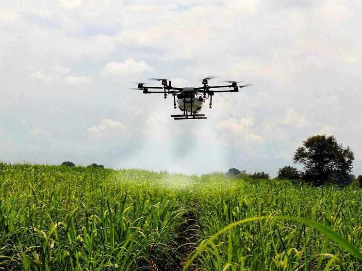 ФОТО: ПРАВИТЕЛЬСТВО ЛИПЕЦКОЙ ОБЛАСТИ 