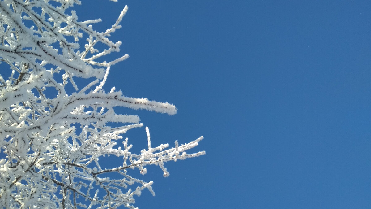 Сверкают под морозным солнцем бриллианты и аквамарины - не иначе Серебряное копытце ночью напроказил.
Никитка тащит санки, а сам посматривает на меня синими глазами из-под пушистого малахая. И щеки у него румяные-румяные!
Мы несемся с горы и приземляемся в снежную перину. Хохочем. Кувыркаемся. Снег нагло набивается за шиворот и в рукава - обжигает льдистым огнём. Изрядно повозившись, мы замираем, завороженные резко голубеющим небом. На ресницах капли - в них бьют солнечные блики и голубизна распадается на семицветье. Я жмурюсь от невыносимого восторга.Никитка вытягивает меня из сугроба и ведёт в снежную пещеру. От гулких ударов наших сердечек дрожат по стенам синие тени. Тыкаюсь губами в Никиткину щеку: она сначала холодная, но если прижаться посильнее, да подольше, то обжигающе-пламенная! А он вовсе и не удивлён. Он будто ждал этого. Именно сегодня ждал...  И сладко внутри и стыдно - будто леденец украла и съела. И ещё хочется... Хороший, хороший Никитка!