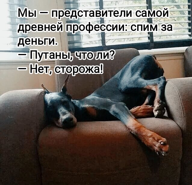 Фото из интернета в обработке автора