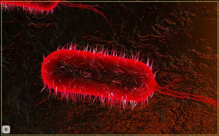 Самые опасные бактерии. Холерный вибрион в микроскопе. Самые опасные бактерии. Столбнячная палочка clostridium tetani. Клостридиум ботулинум морфология.