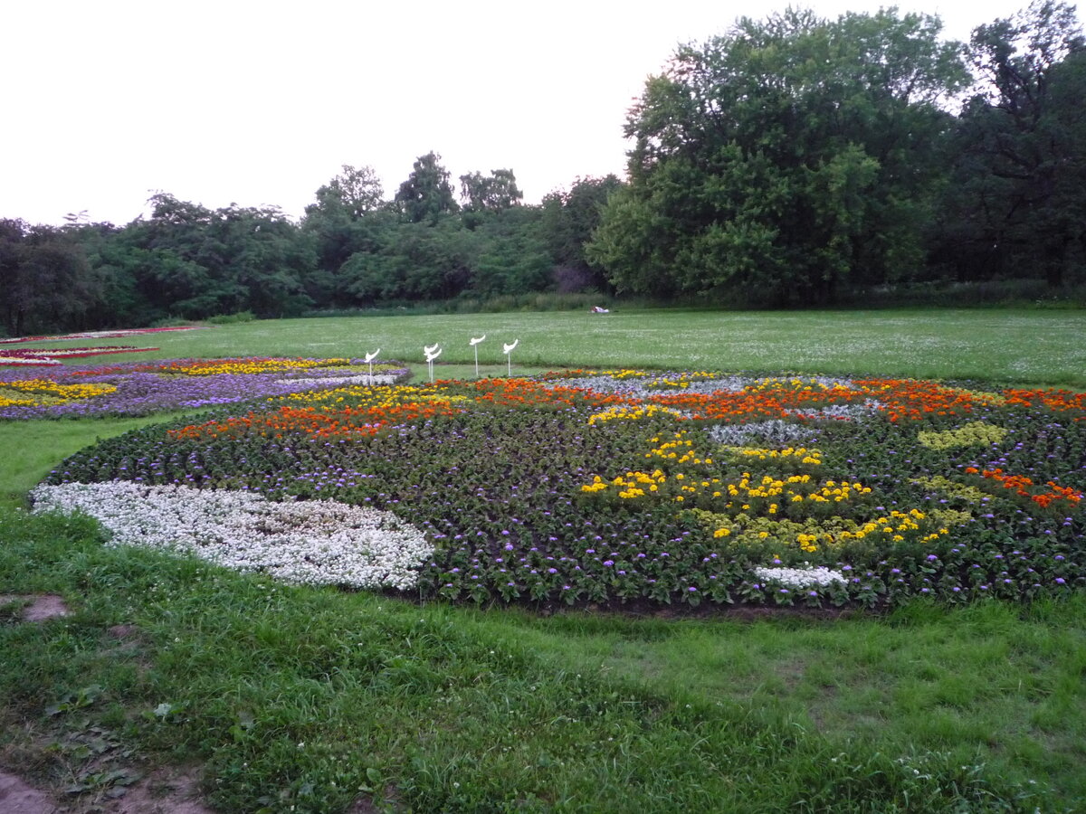 Цветочная клумба на ВДНХ