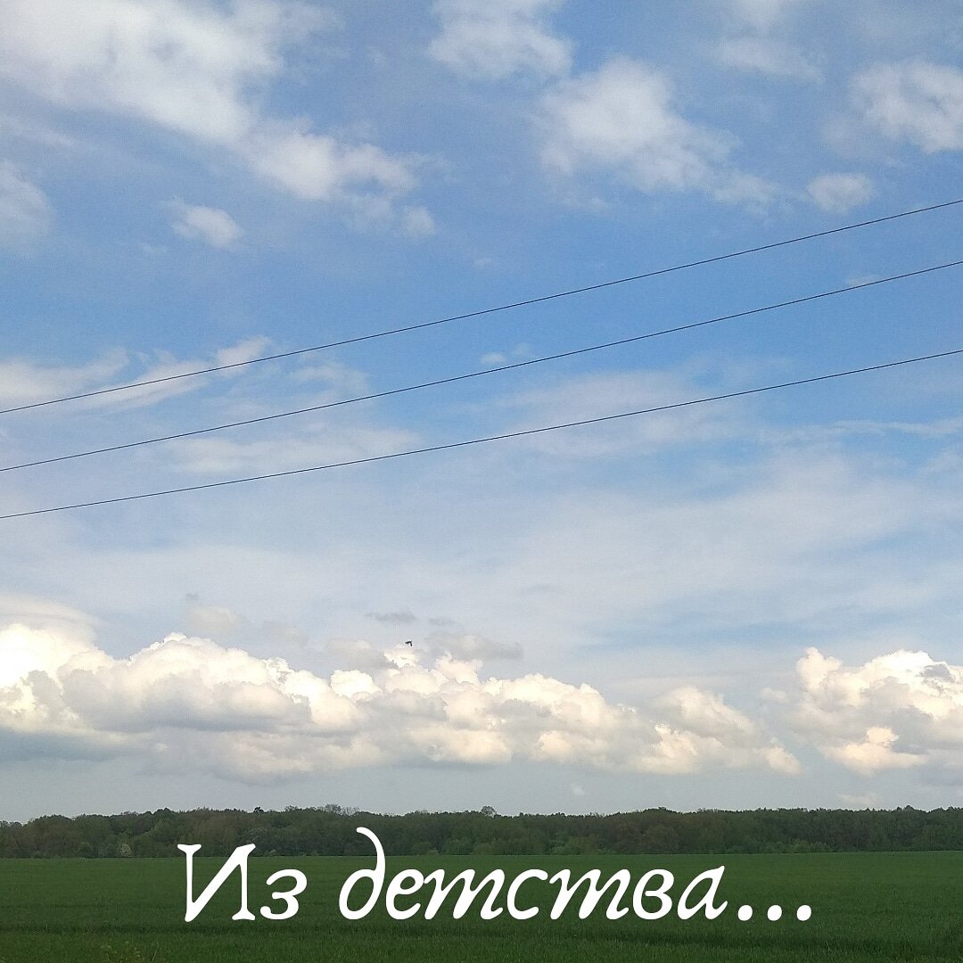 Вокруг всё зелено, свежо согрето всё теплом весенним. Благоухает лес зелёный и пшеничные поля.

Там вдалеке резвятся две влюбленные косули, а в вышине кружит над ними пустельга.

Парит кругом, ах сладкая истома.
Как в детстве в поле на траву упасть. Соломинку в зубах и с прищуром смотреть на солнце,
лежать-мечтать, любить-молчать.

Руки за голову сложив смотреть
на танец туч-улиток.
Чтоб было слышно только сердца стук, а вдалеке ручей резвится.
Май ты так прекрасен, нежен, юн. 