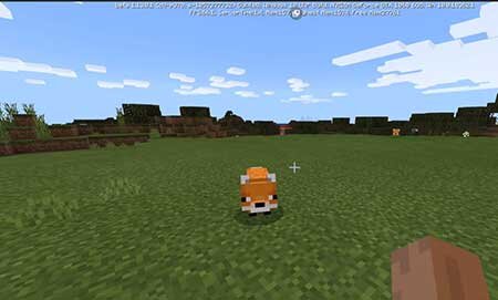 
•	И полярные (песцы), и обычные лисы теперь спаунятся естественно. 
•	Полярными лисами не прочь полакомиться белые медведи, имейте это в виду. 
•	Вы не можете приручить лисов, но можете завоевать их доверие – тогда зверёк будет помогать вам в сражениях. 
•	Лисы могут подносить вам предметы в пасти – иногда они съедают их, что приводит к весьма неожиданным последствиям. 
