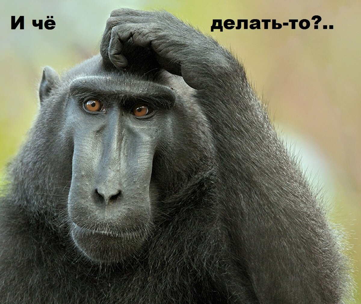 Фото из интернета.