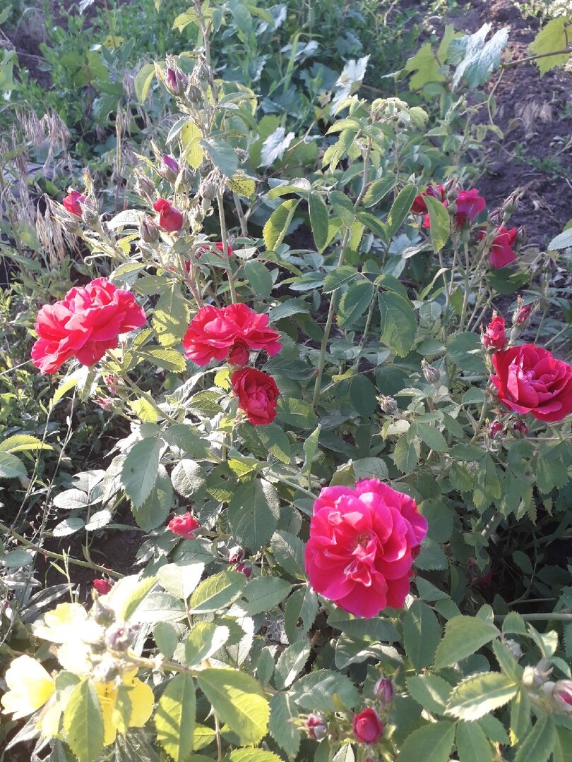 Фото автора