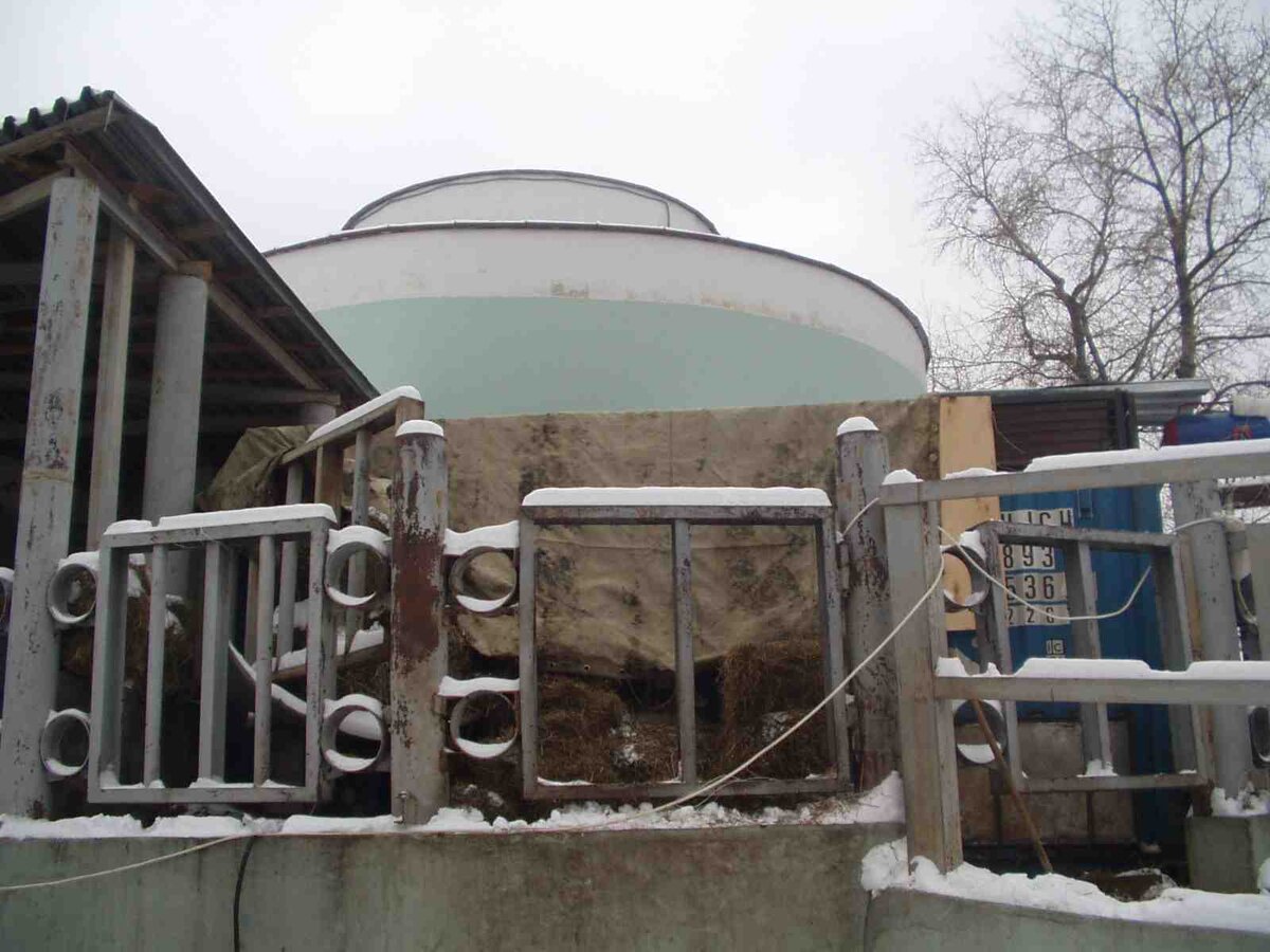 Тот самый контейнер, в котором месяц на морозе держали Машу