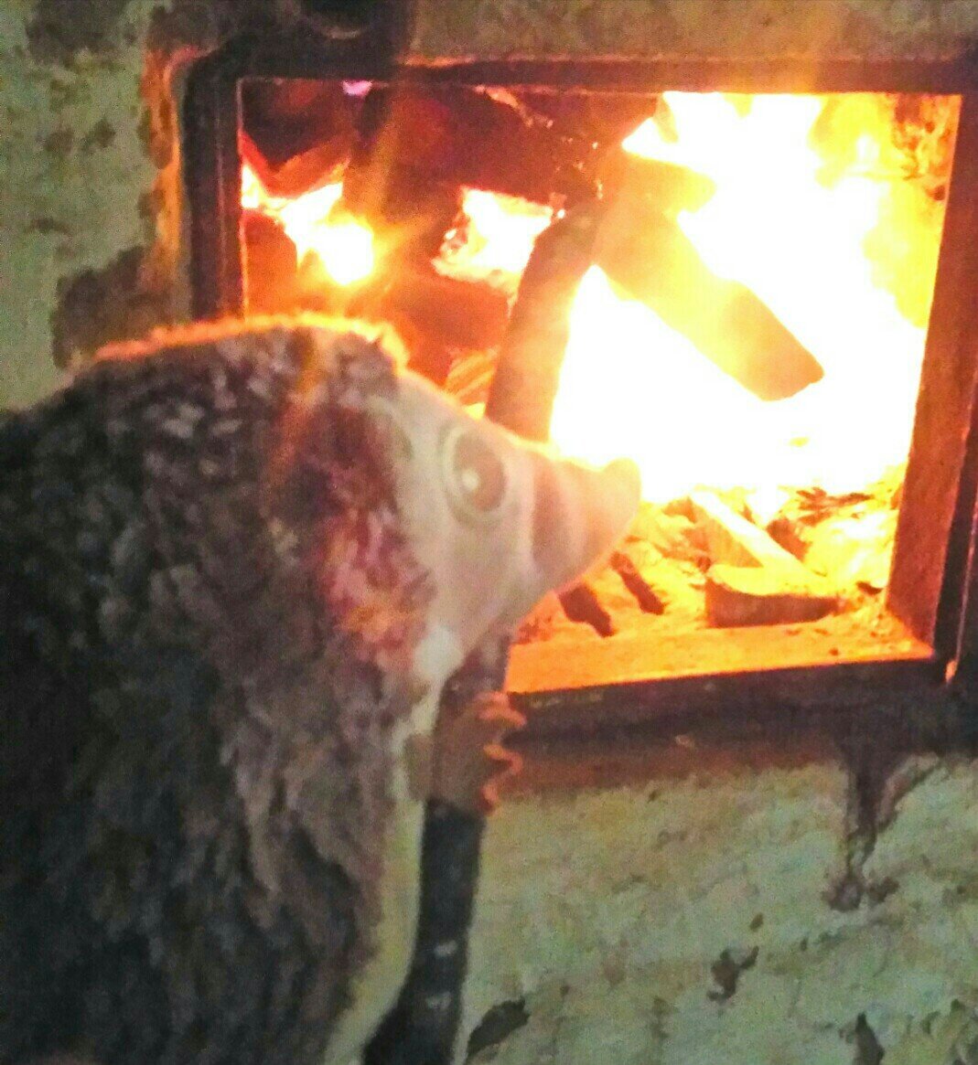 -2