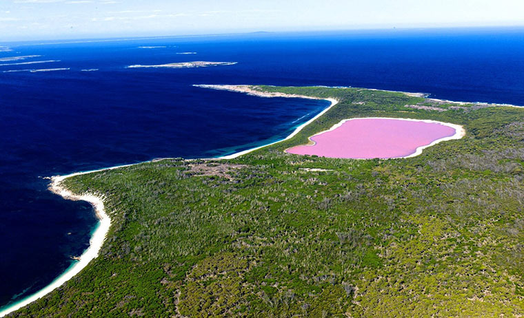 Источник: Яндекс Картинки