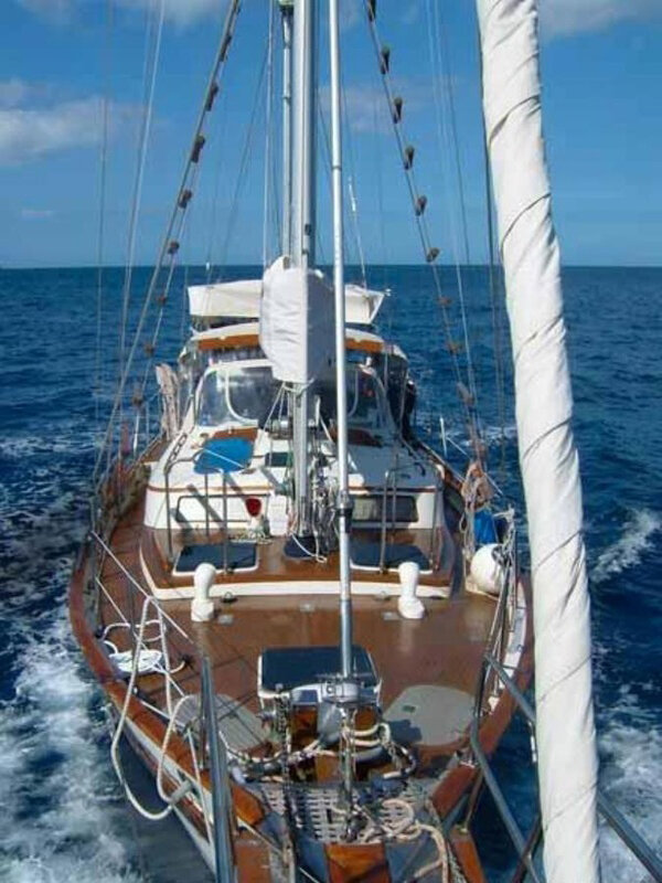 Яндекс. Картинки