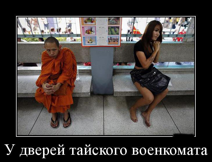 взято из открытых источников