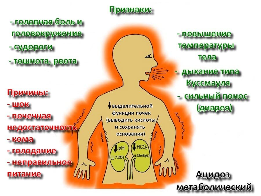 Ощелачивание организма в домашних условиях