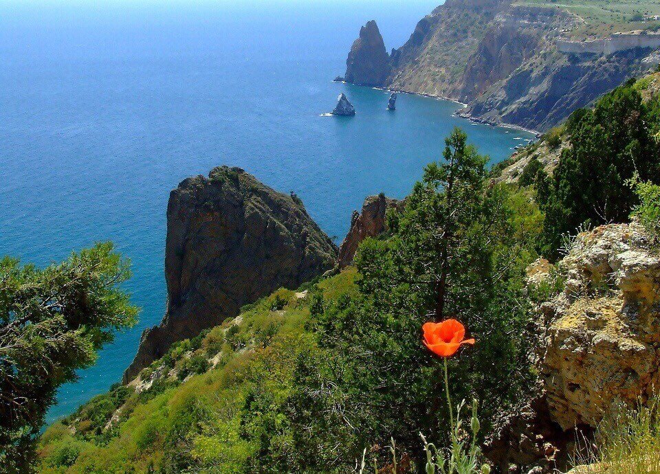 Природа Крыма 