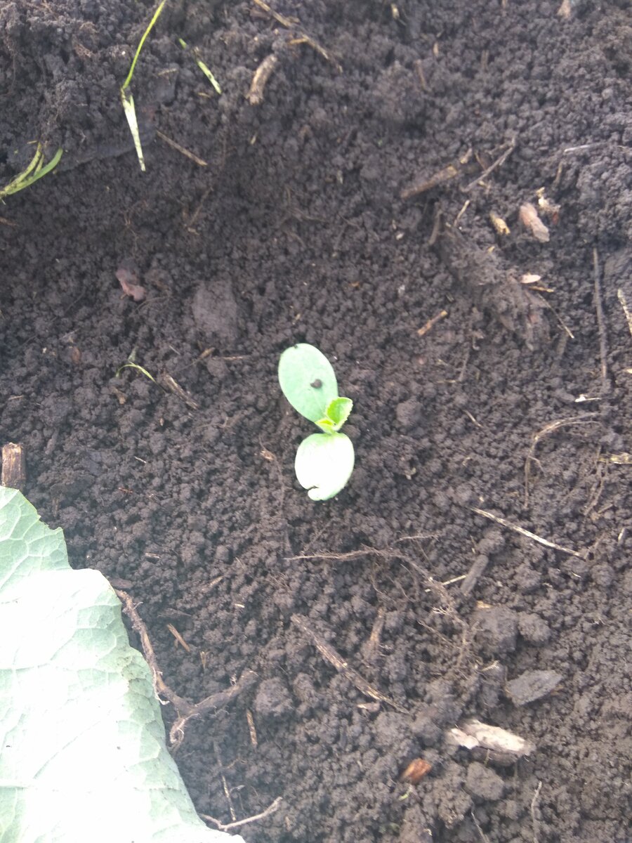 фото из личного архива