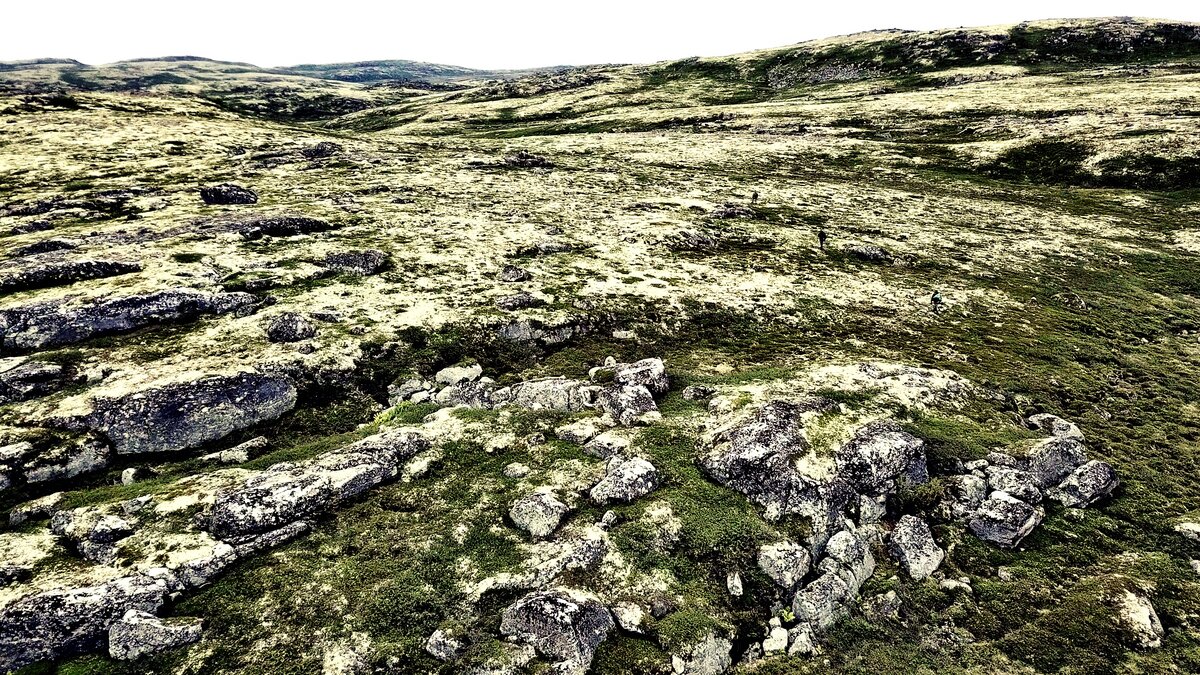 Эти пространства завораживают и пьянят... Нет места суровее и одновременно красивее, чем Арктическая Тундра.