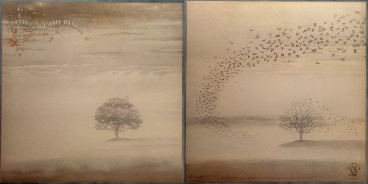 Wuthering waves network. Genesis Wind and Wuthering 1976. Genesis "Wind & Wuthering". Wuthering Waves геймплей. Джиян Wuthering Waves.