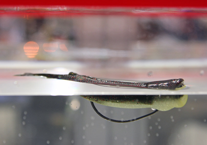 Силиконовый поппер Pop ShadZ, изготовленный из нового материала 10Х Tough ElaZtech обладающего естественной плавучестью, разработали в компании Z-Man.